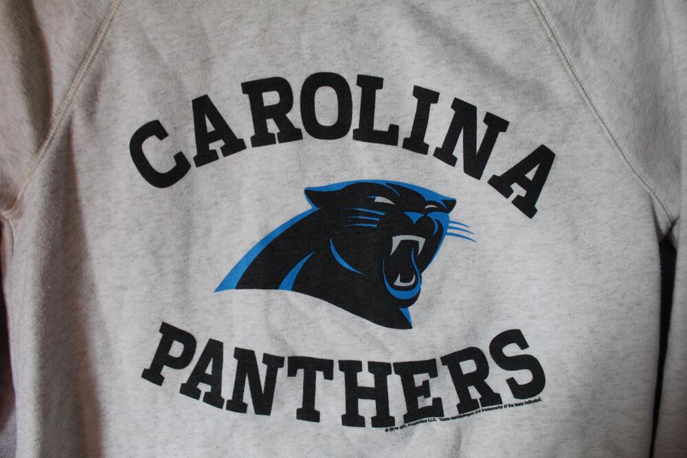 NFL Team Apparel Sweatshirt Womens S Gray Carolina Panthers Pullover Fleece